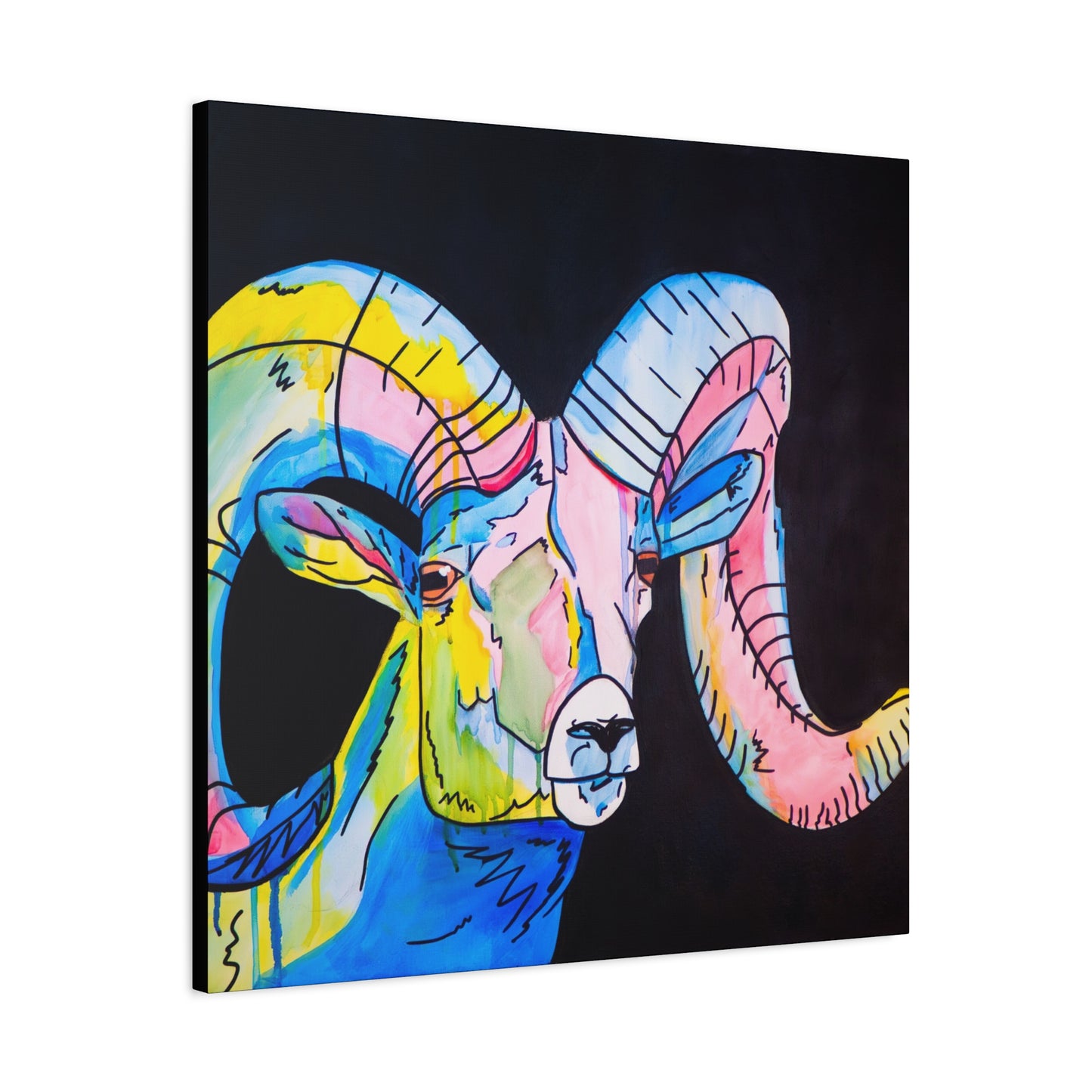 Colorful Bighorn Sheep
