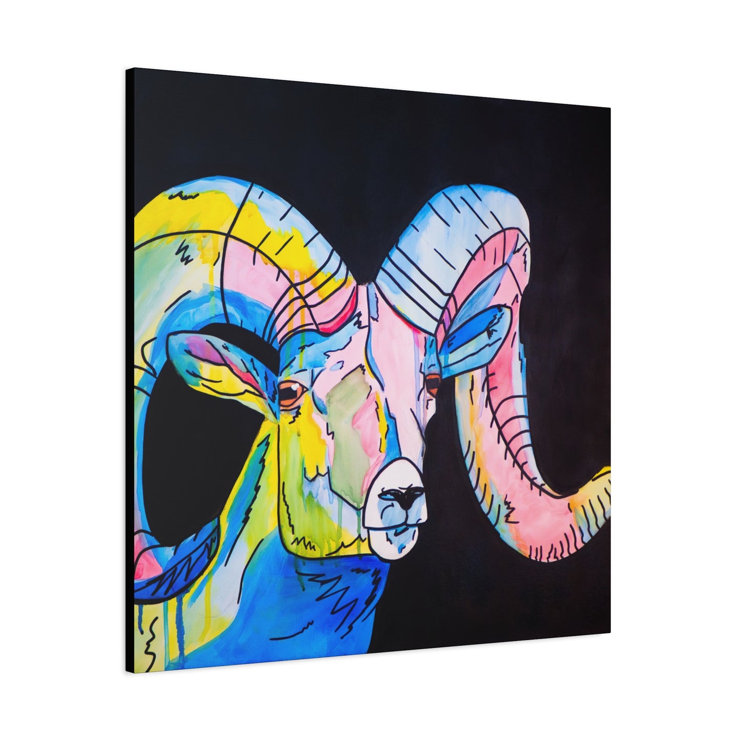 Colorful Bighorn Sheep