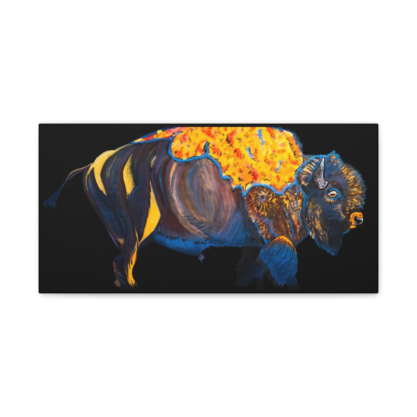 Bison