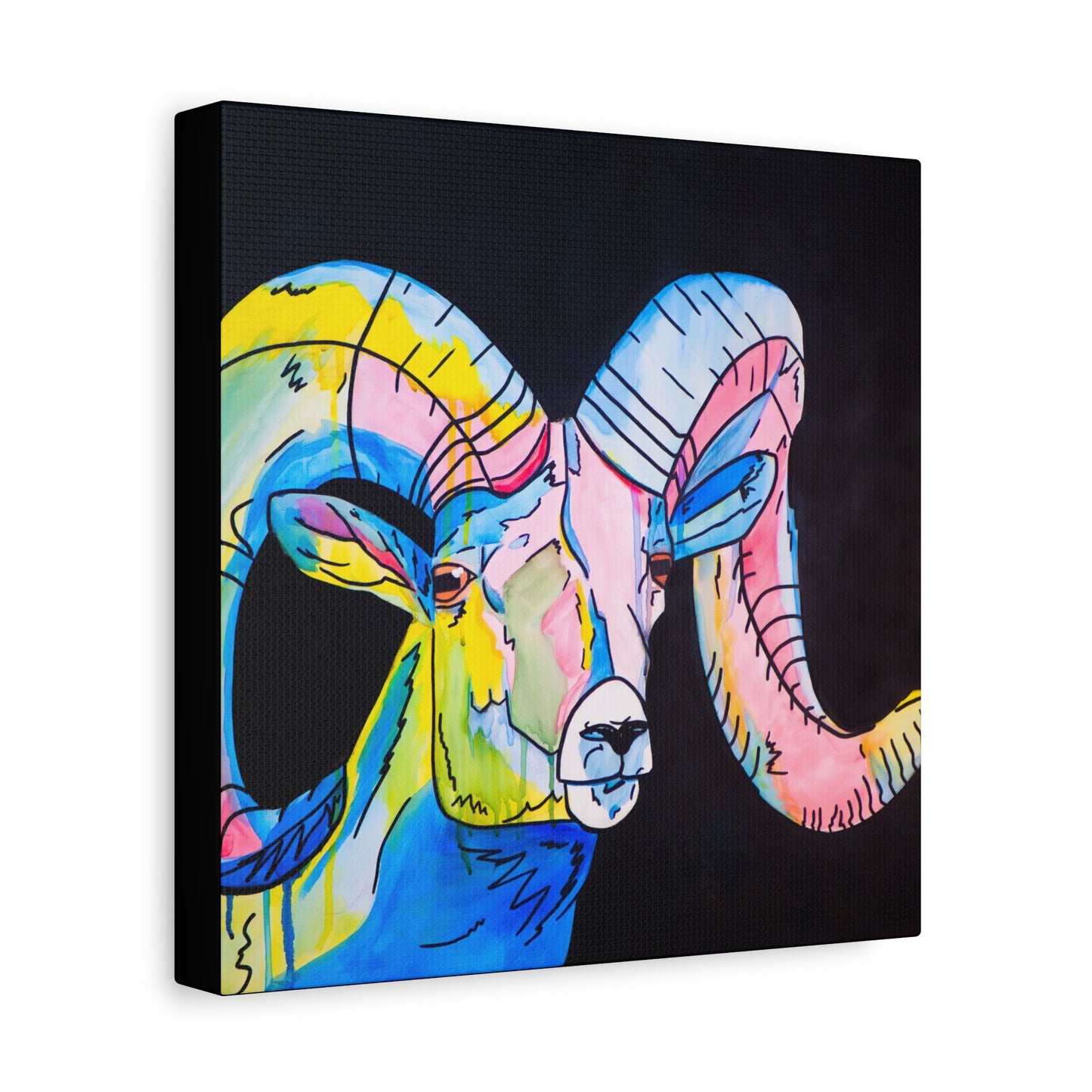 Colorful Bighorn Sheep