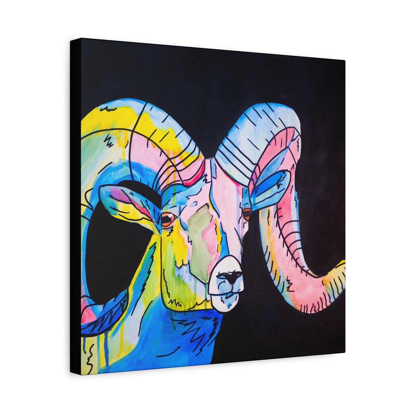 Colorful Bighorn Sheep