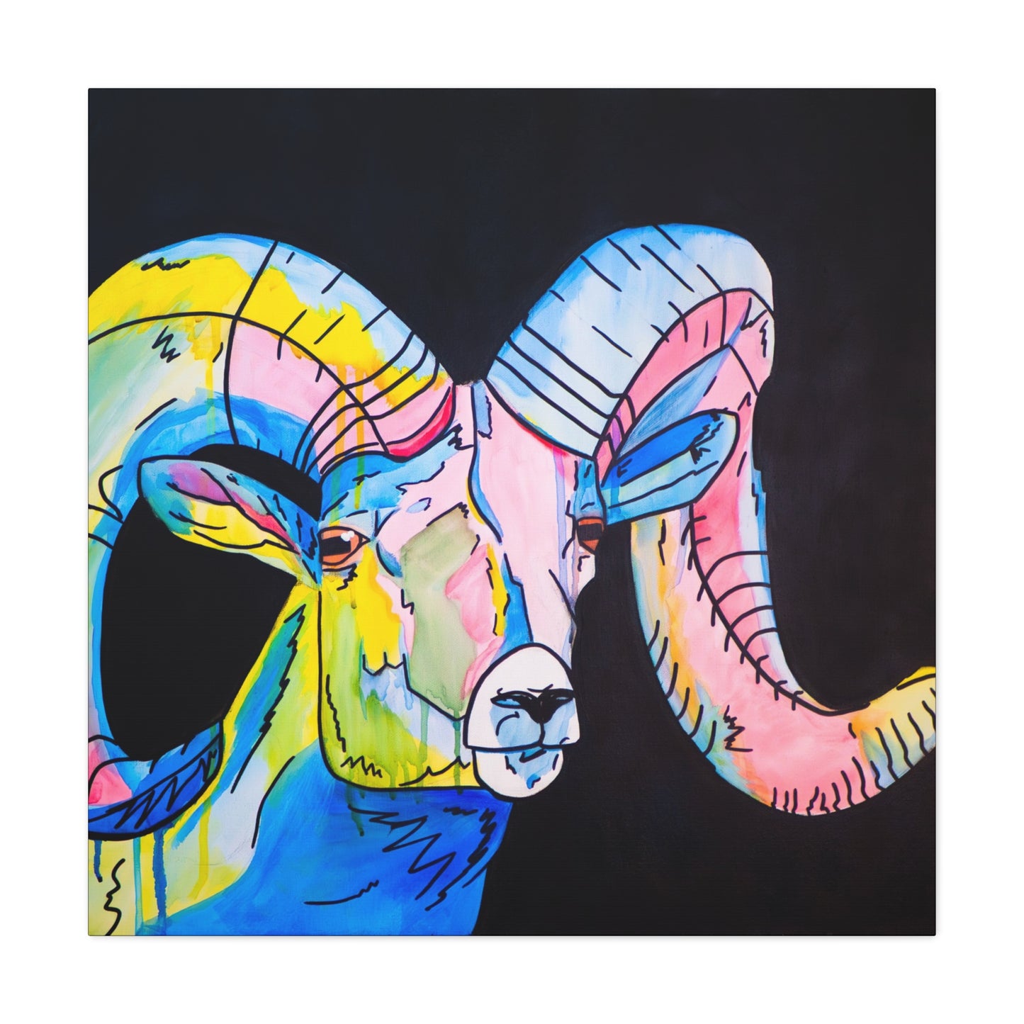 Colorful Bighorn Sheep